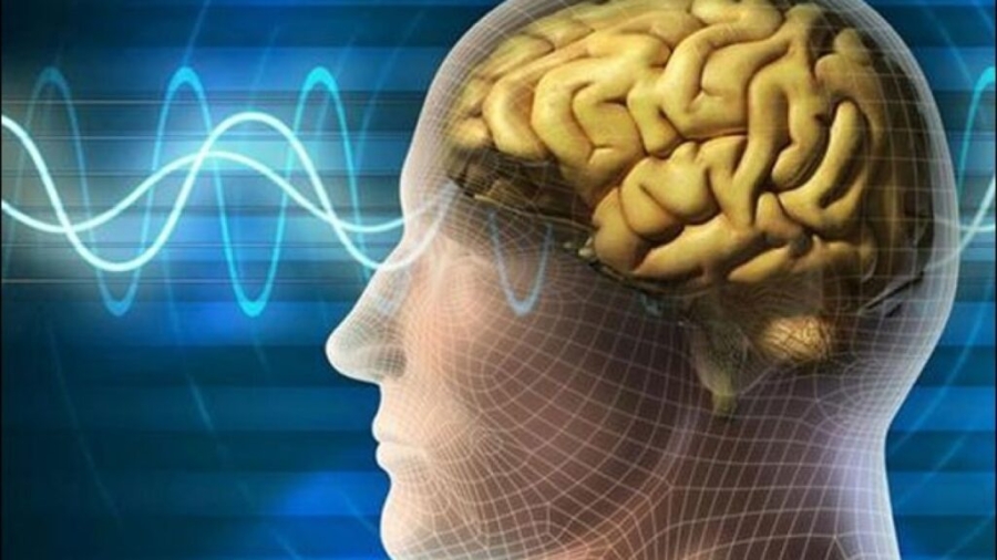 لذاكرة حادة.. 10 أغذية تحافظ على قوة دماغك