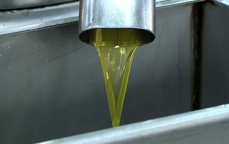 مهرجان الزيتون الوطني الـ25: نجاح قياسي في عدد الزوار والمبيعات