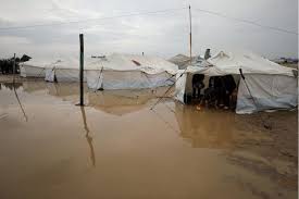 14 شهيدًا في غزة جراء انهيارات بسبب المنخفض الجوي العميق