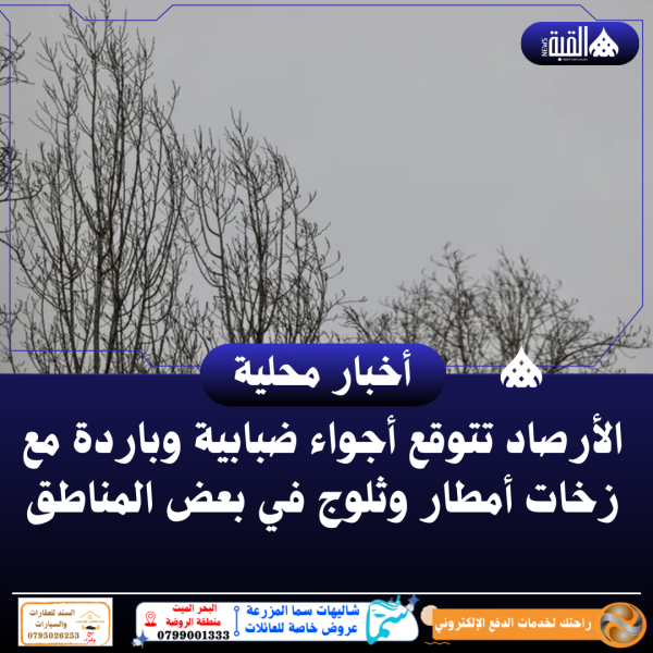 الأرصاد تتوقع أجواء ضبابية وباردة مع زخات أمطار وثلوج في بعض المناطق
