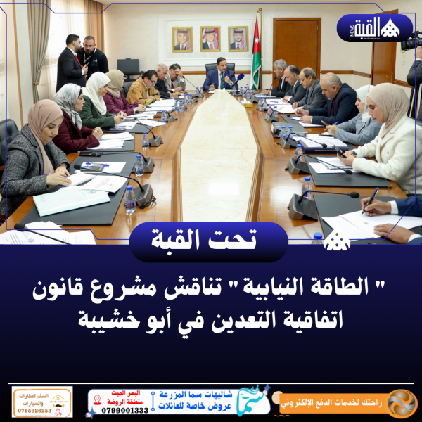  الطاقة النيابية تناقش مشروع قانون اتفاقية التعدين في أبو خشيبة