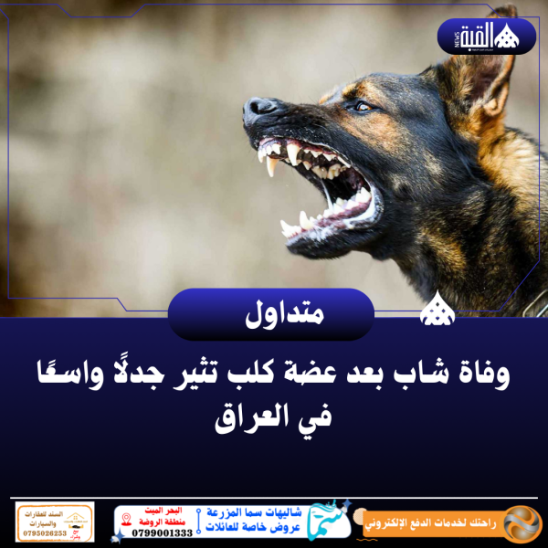 وفاة شاب بعد عضة كلب تثير جدلًا واسعًا في العراق