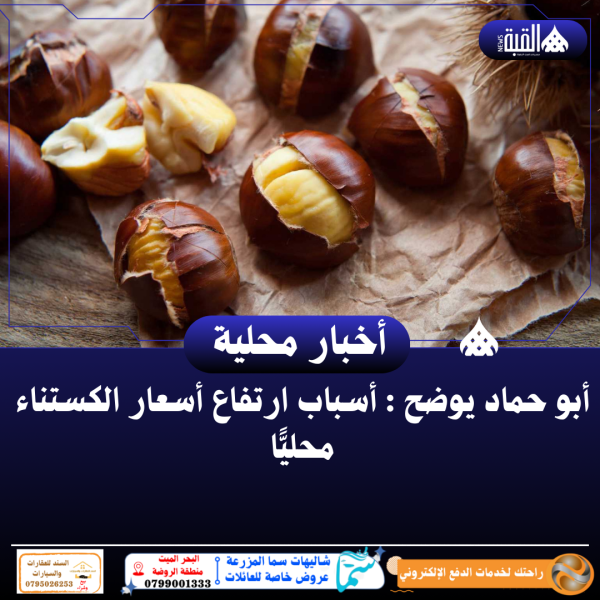 أبو حماد يوضح : أسباب ارتفاع أسعار الكستناء محليًّا