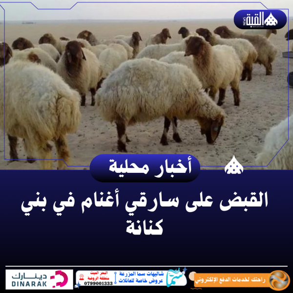 القبض على سارقي أغنام في بني كنانة