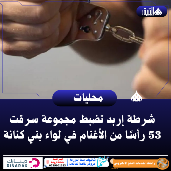 شرطة إربد تضبط مجموعة سرقت 53 رأسًا من الأغنام في لواء بني كنانة