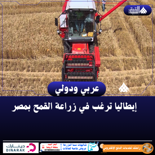 إيطاليا ترغب في زراعة القمح بمصر