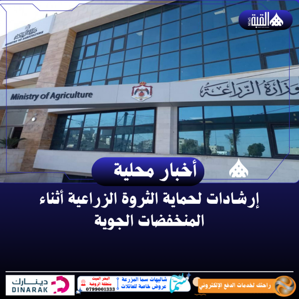 إرشادات لحماية الثروة الزراعية أثناء المنخفضات الجوية