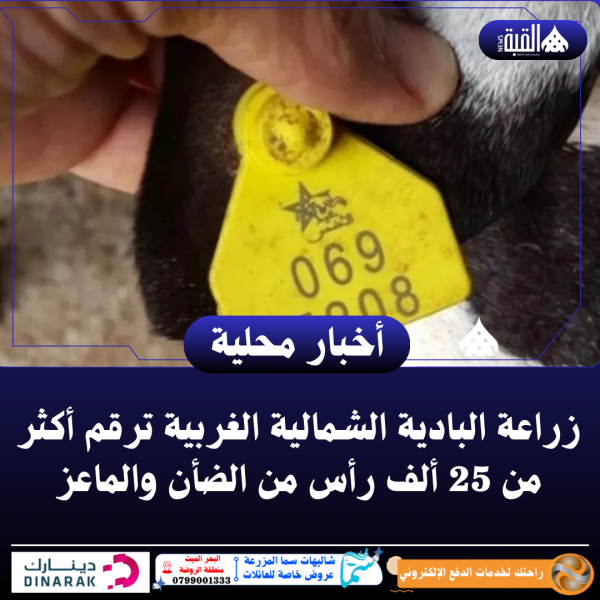 زراعة البادية الشمالية الغربية ترقم أكثر من 25 ألف رأس من الضأن والماعز