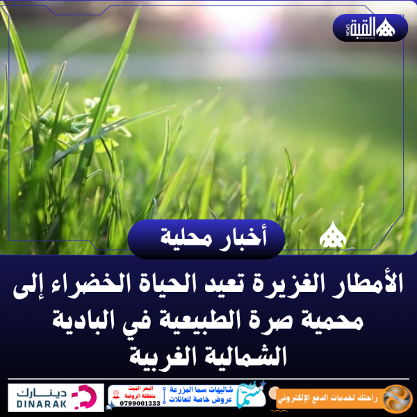 الأمطار الغزيرة تعيد الحياة الخضراء إلى محمية صرة الطبيعية في البادية الشمالية الغربية