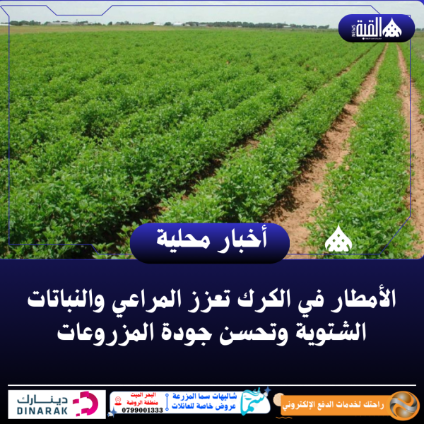 الأمطار في الكرك تعزز المراعي والنباتات الشتوية وتحسن جودة المزروعات