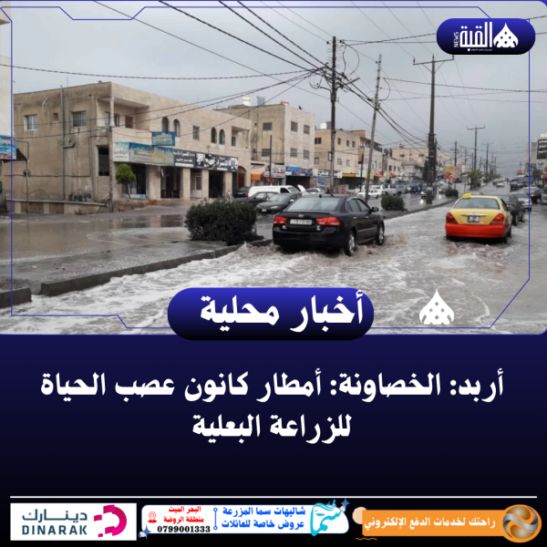 أربد: الخصاونة: أمطار كانون عصب الحياة للزراعة البعلية