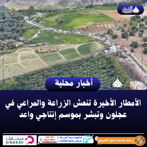 الأمطار الأخيرة تنعش الزراعة والمراعي في عجلون وتبشر بموسم إنتاجي واعد