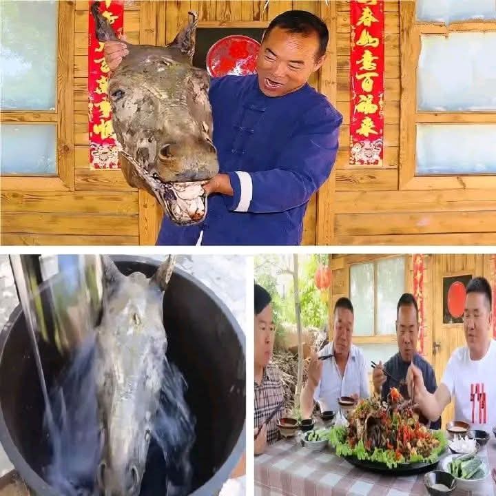 طهى رأس حمار لأسرة زوجته… وأخفا الحقيقة حتى النهاية!