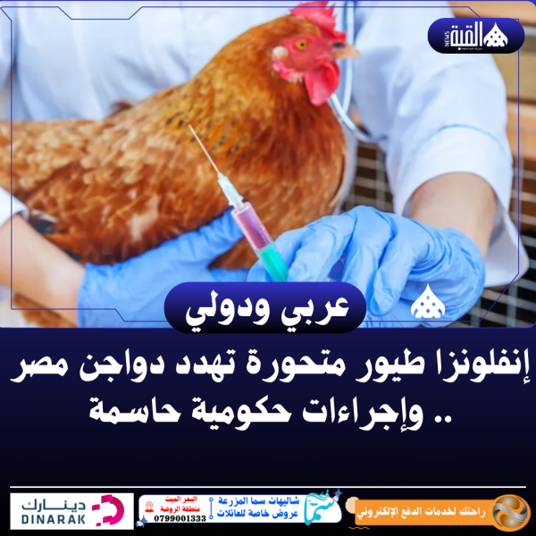 إنفلونزا طيور متحورة تهدد دواجن مصر .. وإجراءات حكومية حاسمة