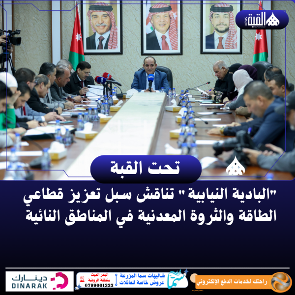 البادية النيابية تناقش سبل تعزيز قطاعي الطاقة والثروة المعدنية في المناطق النائية