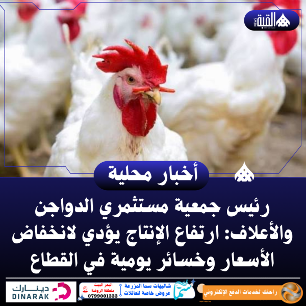 رئيس جمعية مستثمري الدواجن والأعلاف: ارتفاع الإنتاج يؤدي لانخفاض الأسعار وخسائر يومية في القطاع