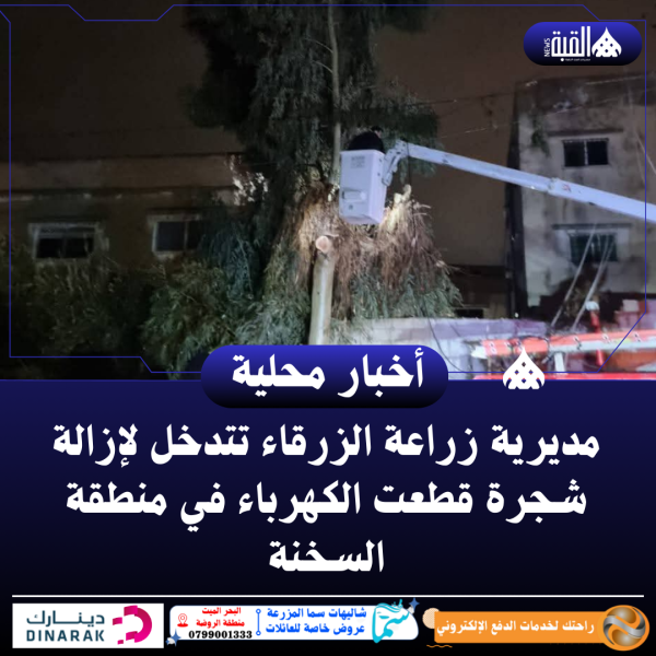 مديرية زراعة الزرقاء تتدخل لإزالة شجرة قطعت الكهرباء في منطقة السخنة