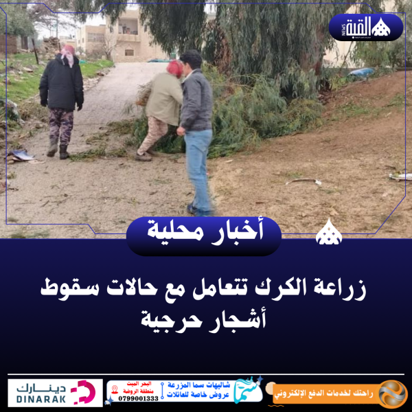 زراعة الكرك تتعامل مع حالات سقوط أشجار حرجية