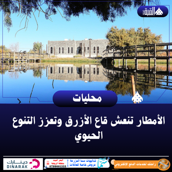 الأمطار تنعش قاع الأزرق وتعزز التنوع الحيوي