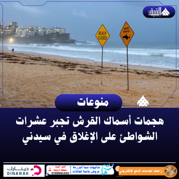 هجمات أسماك القرش تجبر عشرات الشواطئ على الإغلاق في سيدني