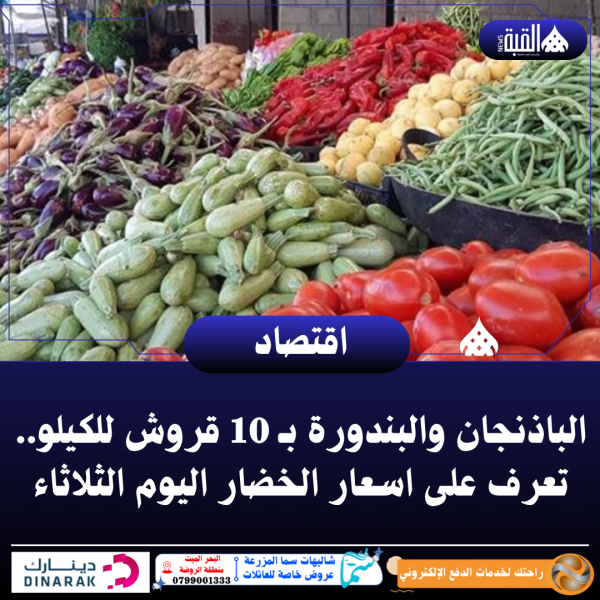 الباذنجان والبندورة بـ 10 قروش للكيلو.. تعرف على اسعار الخضار اليوم الثلاثاء