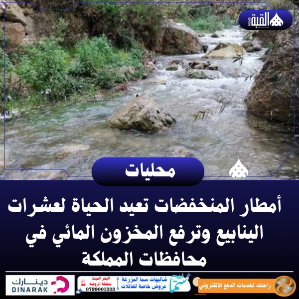 أمطار المنخفضات تعيد الحياة لعشرات الينابيع وترفع المخزون المائي في محافظات المملكة