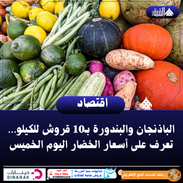 الباذنجان والبندورة بـ10 قروش للكيلو… تعرف على أسعار الخضار اليوم الخميس