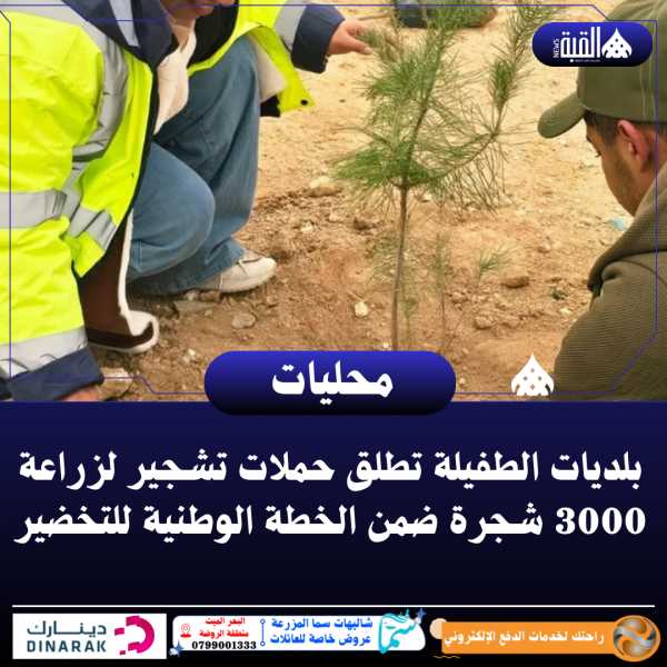 بلديات الطفيلة تطلق حملات تشجير لزراعة 3000 شجرة ضمن الخطة الوطنية للتخضير