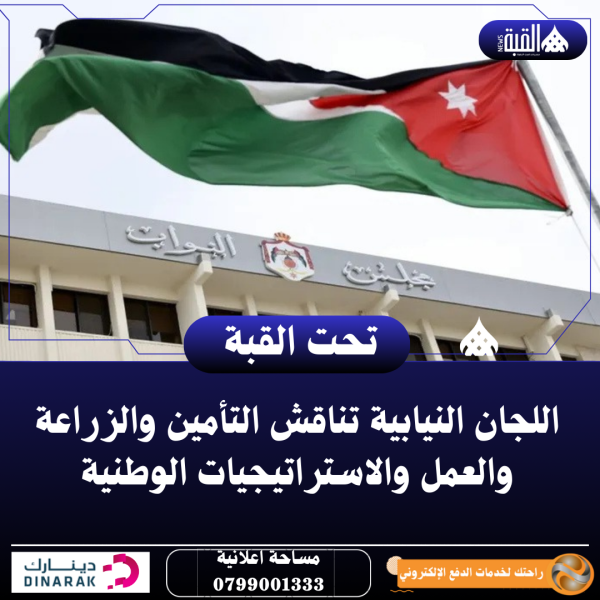 اللجان النيابية تناقش التأمين والزراعة والعمل والاستراتيجيات الوطنية