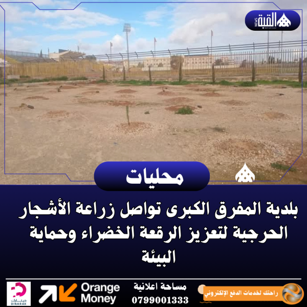 بلدية المفرق الكبرى تواصل زراعة الأشجار الحرجية لتعزيز الرقعة الخضراء وحماية البيئة