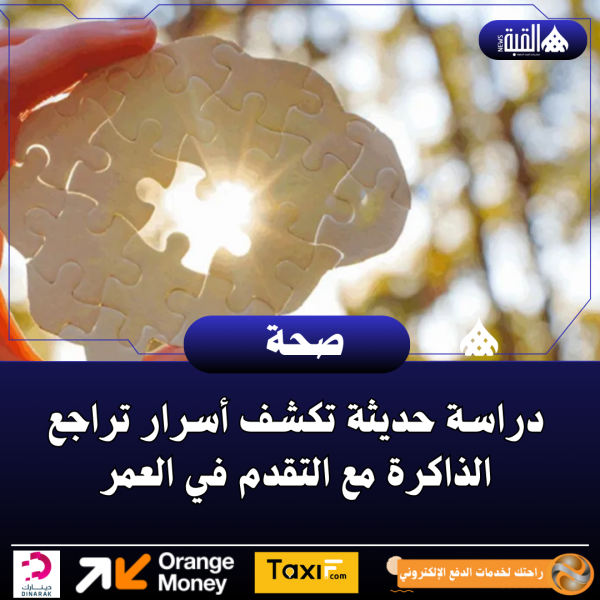 دراسة حديثة تكشف أسرار تراجع الذاكرة مع التقدم في العمر