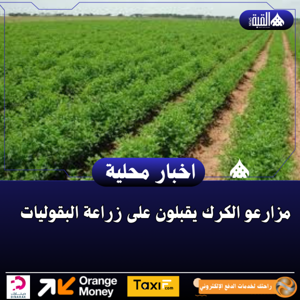 مزارعو الكرك يقبلون على زراعة البقوليات