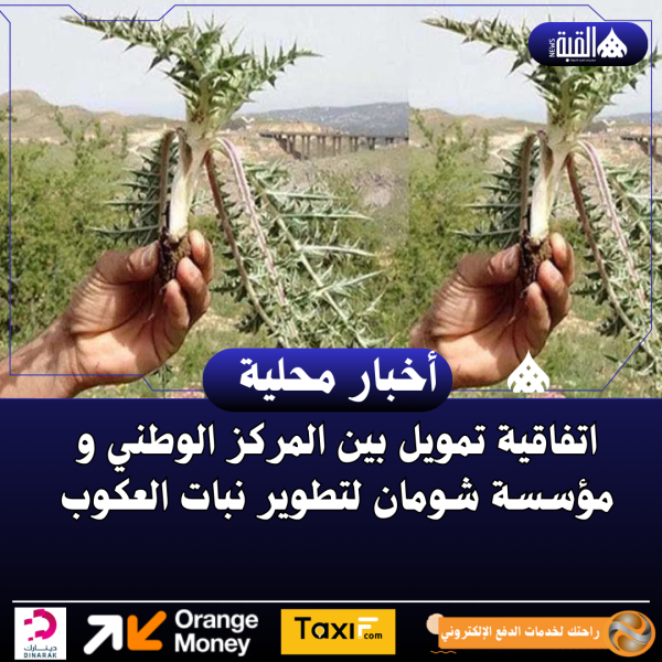 اتفاقية تمويل بين المركز الوطني و مؤسسة شومان لتطوير نبات العكوب