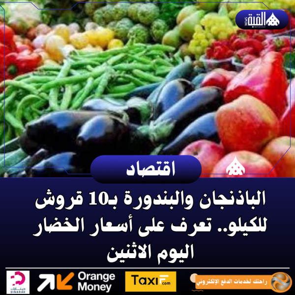 الباذنجان والبندورة بـ10 قروش للكيلو.. تعرف على أسعار الخضار اليوم الاثنين