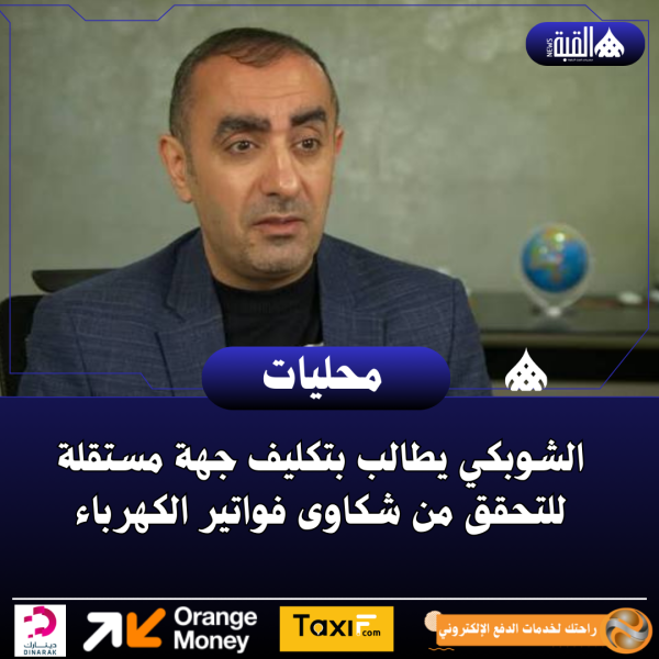 الشوبكي يطالب بتكليف جهة مستقلة للتحقق من شكاوى فواتير الكهرباء