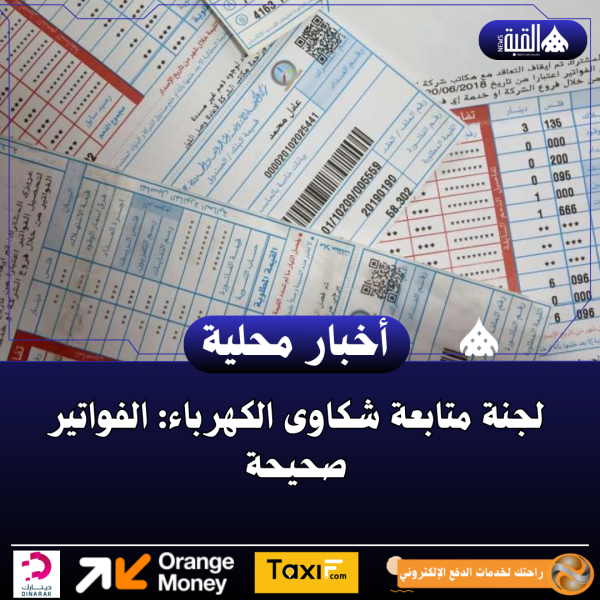 لجنة متابعة شكاوى الكهرباء: الفواتير صحيحة