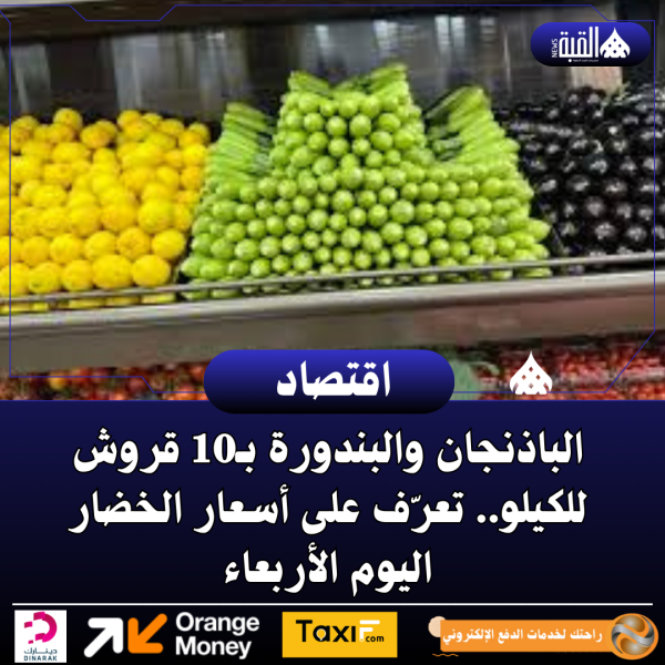 الباذنجان والبندورة بـ10 قروش للكيلو.. تعرّف على أسعار الخضار اليوم الأربعاء