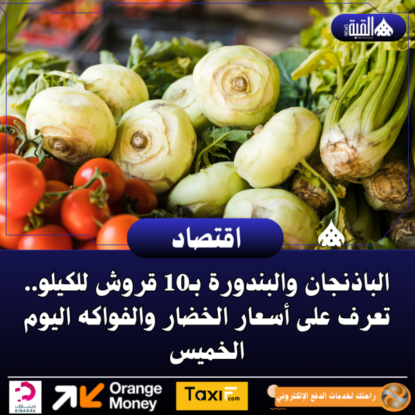 الباذنجان والبندورة بـ10 قروش للكيلو.. تعرف على أسعار الخضار والفواكه اليوم الخميس