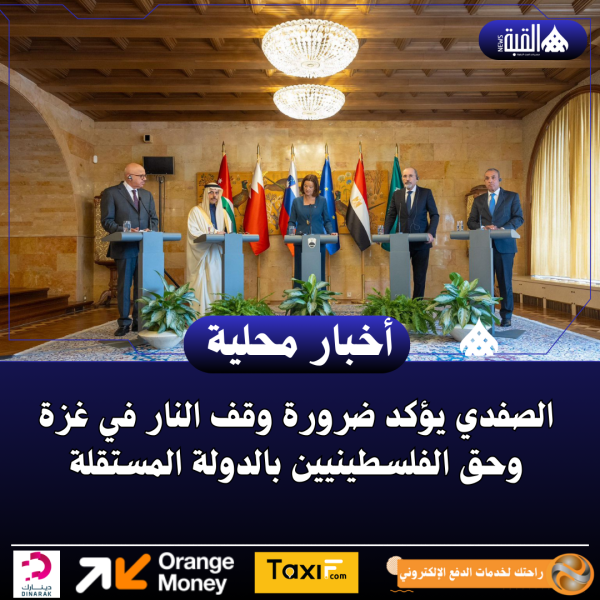 الصفدي يؤكد ضرورة وقف النار في غزة وحق الفلسطينيين بالدولة المستقلة