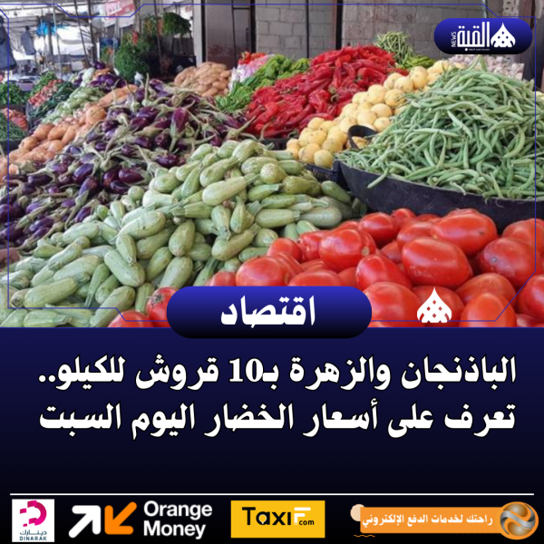 الباذنجان والزهرة بـ10 قروش للكيلو.. تعرف على أسعار الخضار اليوم السبت