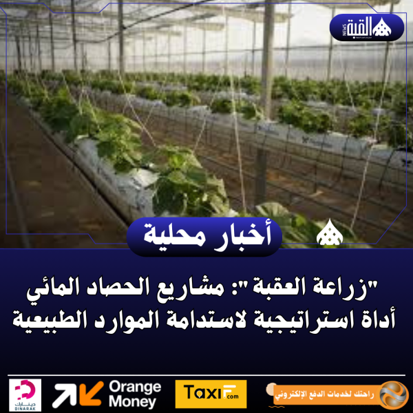 زراعة العقبة: مشاريع الحصاد المائي أداة استراتيجية لاستدامة الموارد الطبيعية