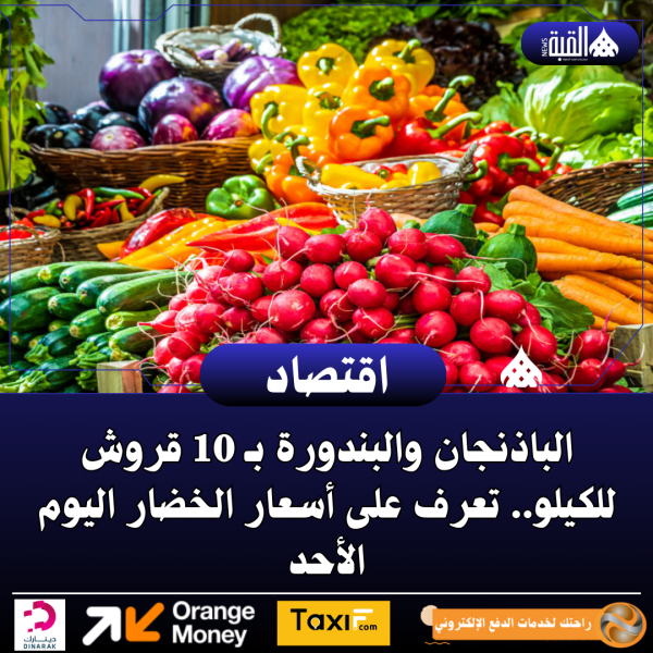 الباذنجان والبندورة بـ 10 قروش للكيلو.. تعرف على أسعار الخضار اليوم الأحد