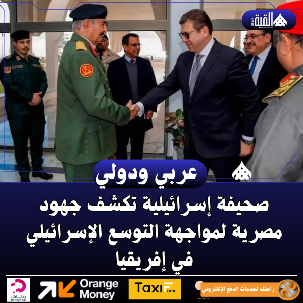 صحيفة إسرائيلية تكشف جهود مصرية لمواجهة التوسع الإسرائيلي في إفريقيا