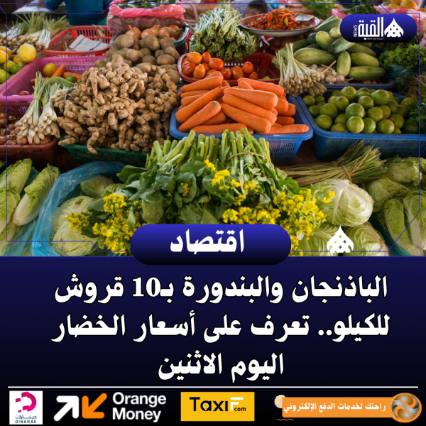 الباذنجان والبندورة بـ10 قروش للكيلو.. تعرف على أسعار الخضار اليوم الاثنين