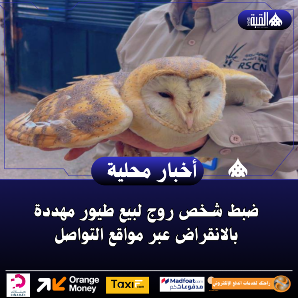 ضبط شخص روج لبيع طيور مهددة بالانقراض عبر مواقع التواصل