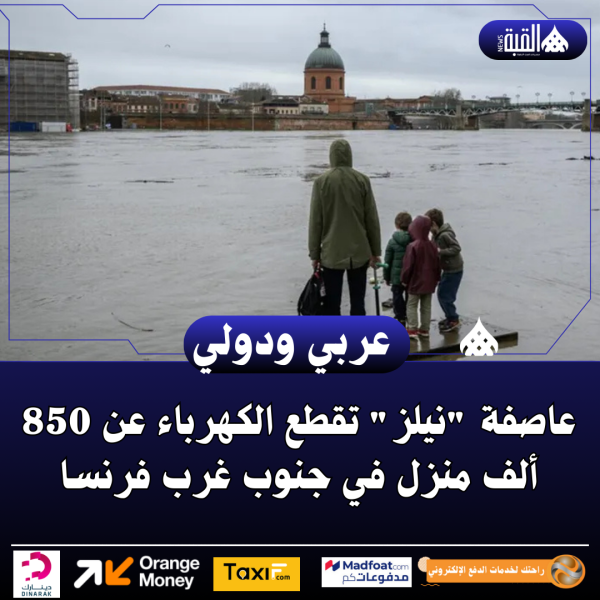 عاصفة نيلز تقطع الكهرباء عن 850 ألف منزل في جنوب غرب فرنسا