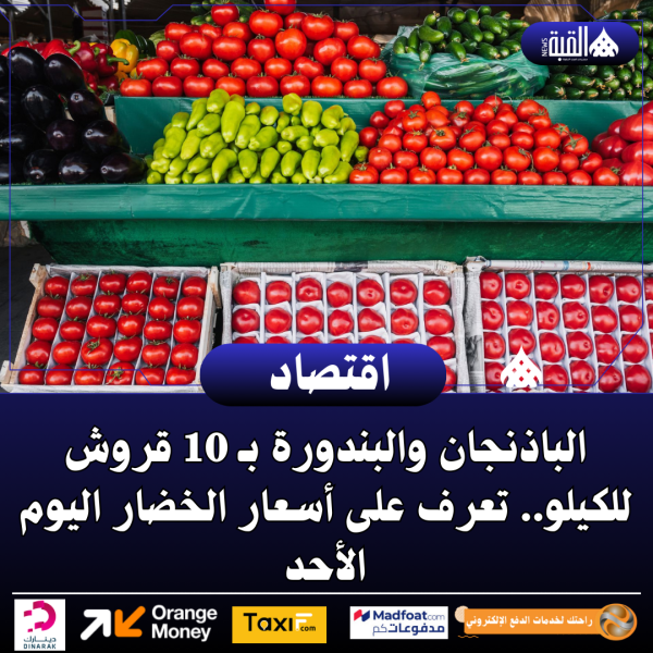 الباذنجان والبندورة بـ 10 قروش للكيلو.. تعرف على أسعار الخضار اليوم الأحد