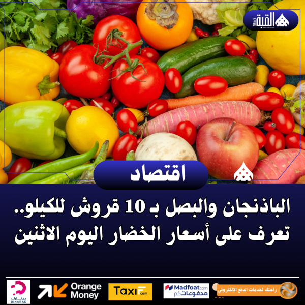 الباذنجان والبصل بـ 10 قروش للكيلو.. تعرف على أسعار الخضار اليوم الاثنين