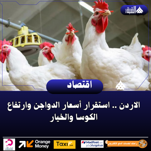 الاردن .. استقرار أسعار الدواجن وارتفاع الكوسا والخيار