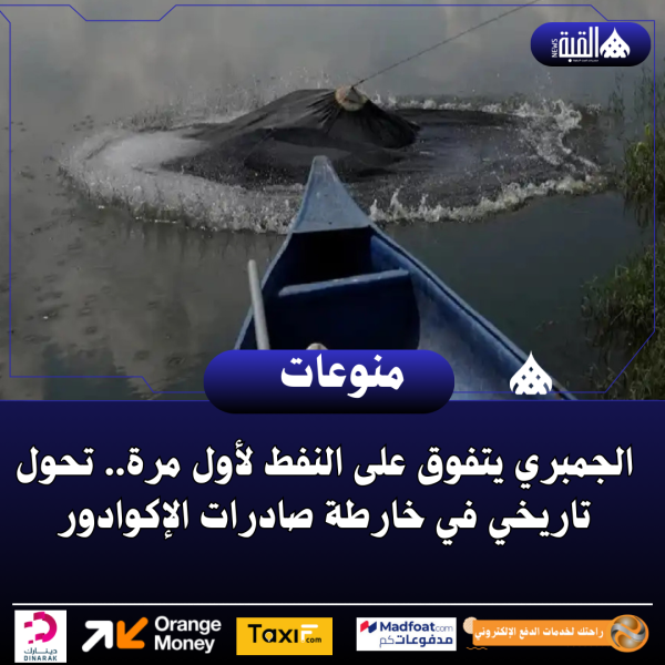 الجمبري يتفوق على النفط لأول مرة.. تحول تاريخي في خارطة صادرات الإكوادور